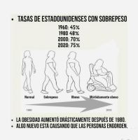 Empresas alimenticias introducen grasas y saborizantes adictivos en las comidas 