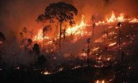 Ya se quemaron más de 15 millones de hectáreas en América del Sur en el 2024
