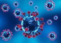 La gripe H3N2 ya esta en Sudamérica y se acerca a Argentina 